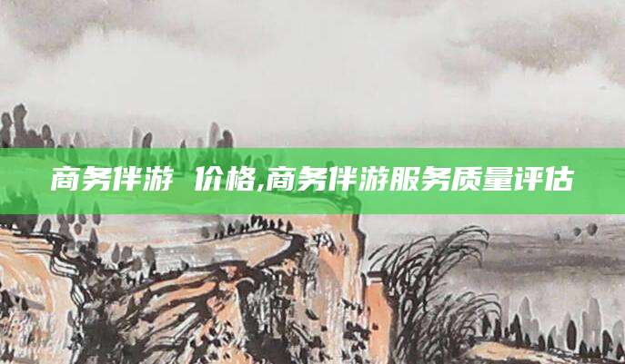 宁德商务伴游 价格,商务伴游服务质量评估